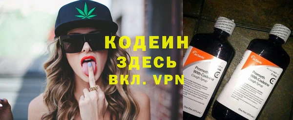 индика Верхний Тагил