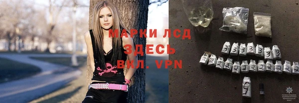 индика Верхний Тагил