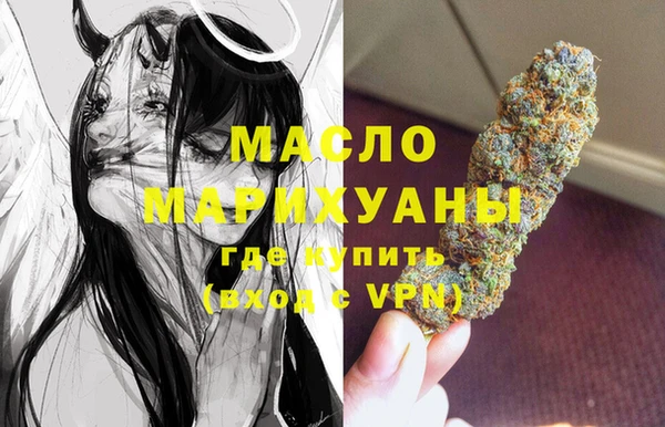 индика Верхний Тагил