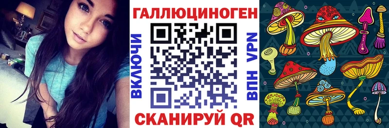 Галлюциногенные грибы Psilocybe  кракен как зайти  Кизел 
